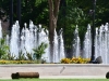 Washington Park Fountain Beauty