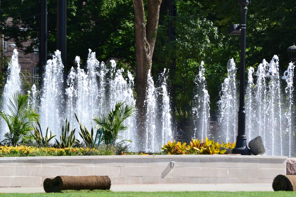 Washington Park Fountain Beauty